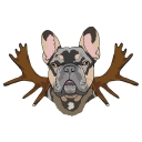 Mooseplantshop logo