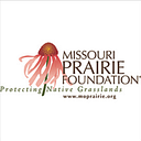 The Prairie Foundation logo