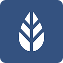 MoreApp logo