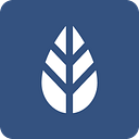 MoreApp logo