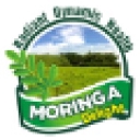 Moringa Delight logo