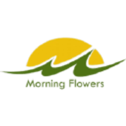 MORNING FLOWERS LTD logo
