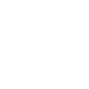 Morphed logo