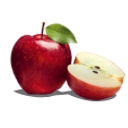 Morphett Vale Dental Care logo