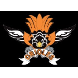 Morrice Area Elementary School logo