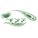Morrison Dental Group logo