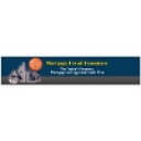 Mortgage Fraud Examiners logo
