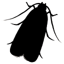 Moth Exterminator logo