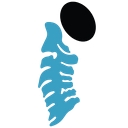 Motion Spine Institute logo