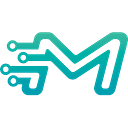 Motor Fiscal logo
