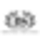 Motostuka Myshopify logo