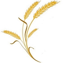 City of Moundridge logo