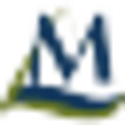 avatar logo