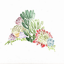 Mountaincrestgardens logo
