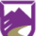 Mountain Insurance logo