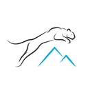Mountain Lion Aviation logo