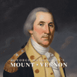 Mt Vernon logo