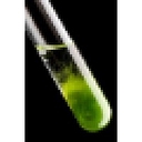 Mriglobalscientific logo