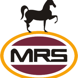 mrsholdings.com