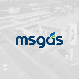 msgas.com.br