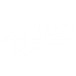 MSI Credit Solutions logo