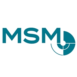 MSM Maschinenbau GmbH logo