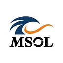 株式会社マネジメントソリューションズ（Management Solutions co., ltd., MSOL） (Management Solutions Japan)