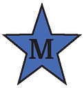 Momentum Skilled Services logo
