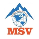 Msv International, Inc. logo