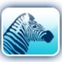 msvportal.de logo