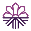 Montana Abortion Access Program logo