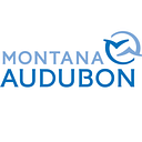 MONTANA AUDUBON logo
