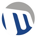 Mtis Group logo