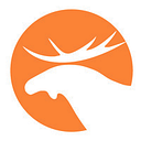 MTNT Foundation Inc logo