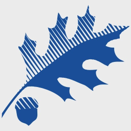 avatar logo