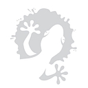 Muddy Gecko logo