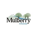 City of Mulberry logo