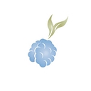Mulberrys Garment Care logo