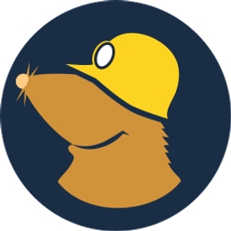 Mullvad DNS logo