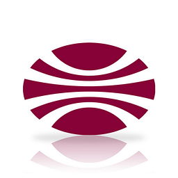 Multinational Insurance Company logo