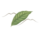 Munduk Moding Plantation logo
