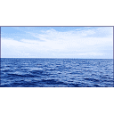 The Curtis & Edith Munson Foundation logo