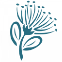 Muriwhenua Tika Charitable Trust  logo