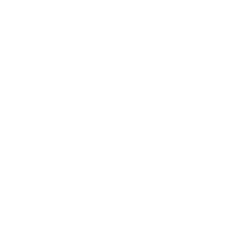 Museum of Sex logo