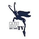 Museumviews logo