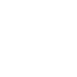 Music Soup Entertainment LLC logo