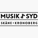 Städklart i syd AB logo