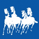 Mustang Systems logo