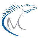 Mustang Helicopters Inc. logo