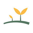 The Mustard Seed Foundation Inc logo